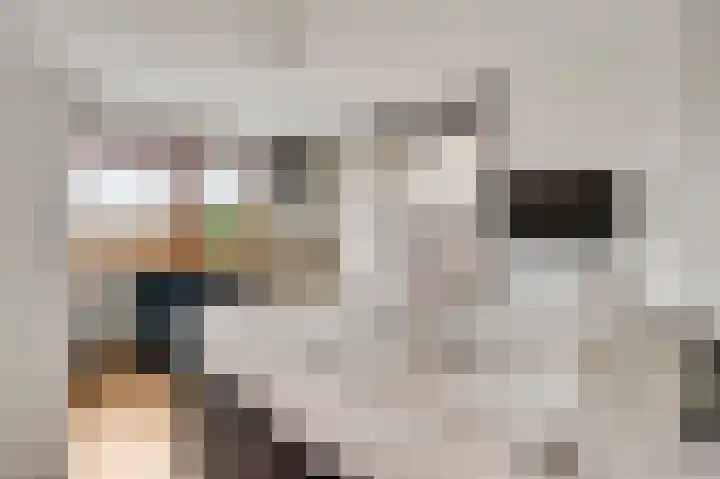 Oeverzicht 9 Linne thumbnail 23