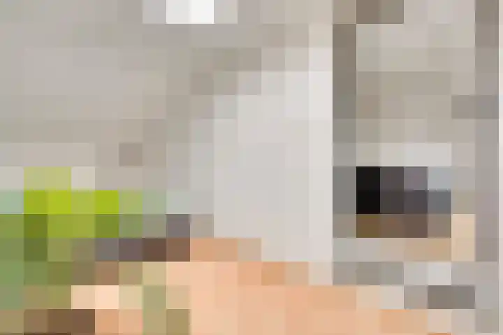 Oeverzicht 9 Linne thumbnail 25