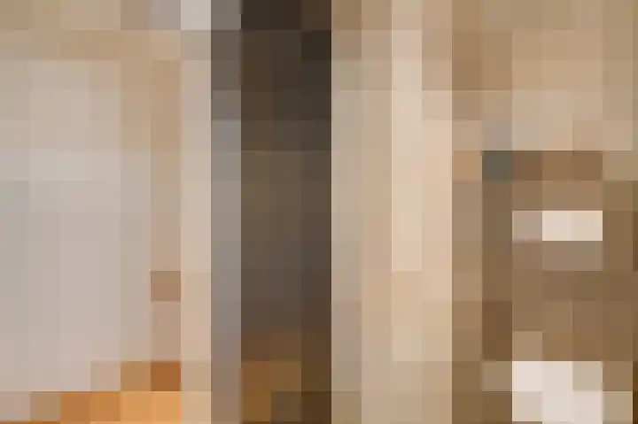 Oeverzicht 9 Linne thumbnail 28