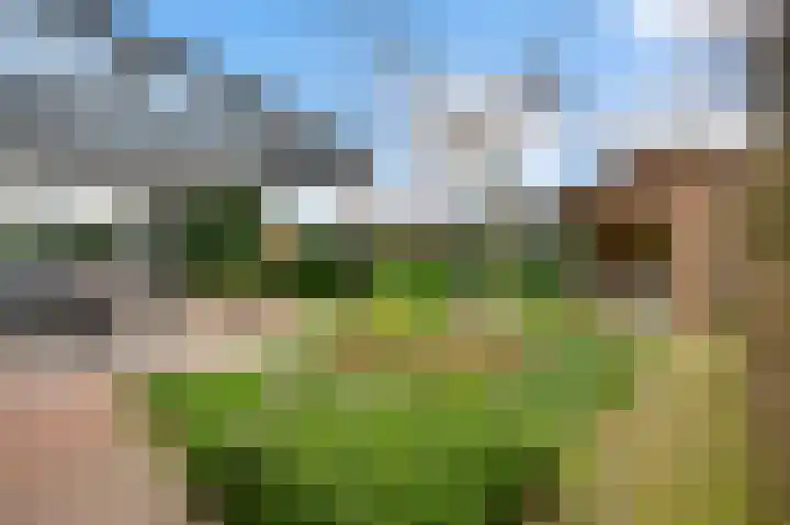 Oeverzicht 9 Linne thumbnail 30