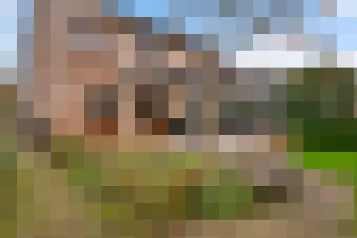 Oeverzicht 9 Linne thumbnail 31