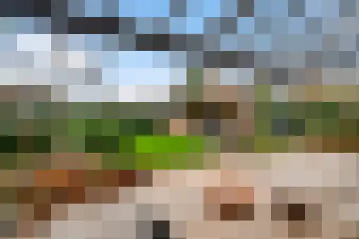Oeverzicht 9 Linne thumbnail 33