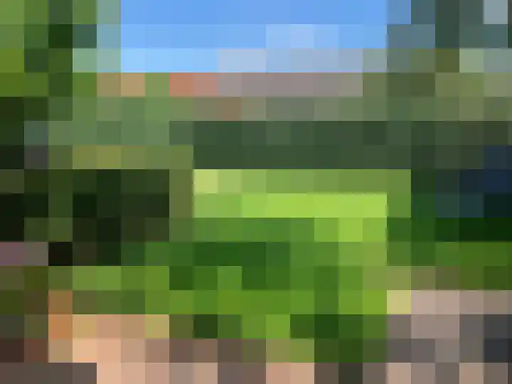 Oeverzicht 9 Linne thumbnail 35