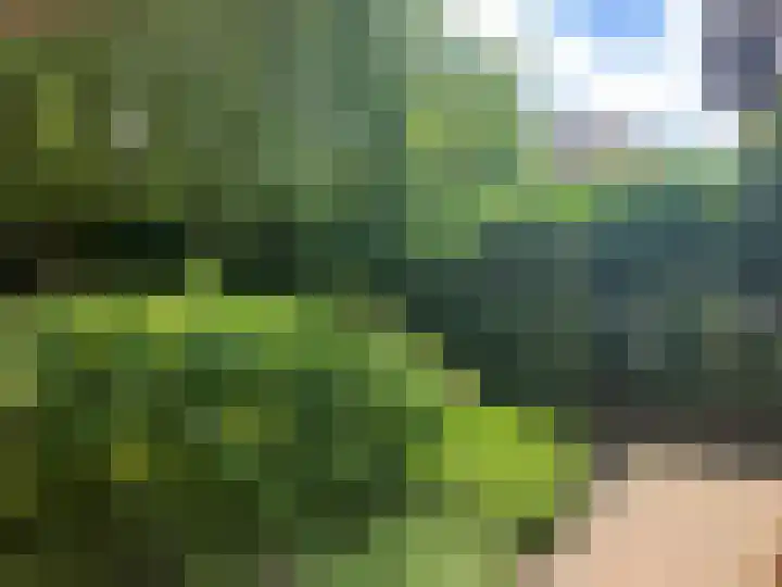 Oeverzicht 9 Linne thumbnail 36