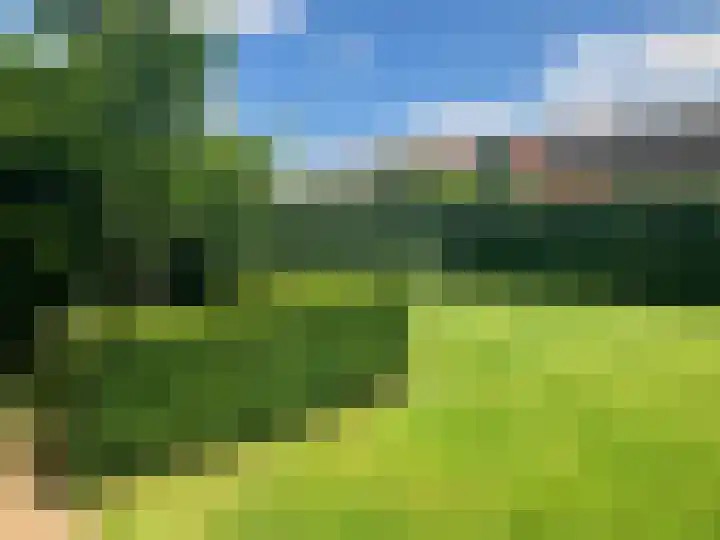 Oeverzicht 9 Linne thumbnail 37