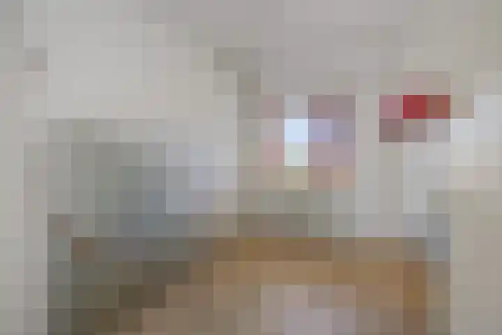 Oeverzwaluw 1 's-Hertogenbosch thumbnail 10