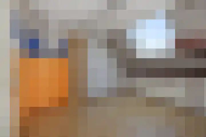 Oeverzwaluw 1 's-Hertogenbosch thumbnail 11