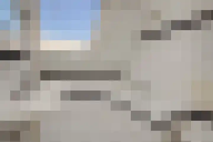Oeverzwaluw 1 's-Hertogenbosch thumbnail 12