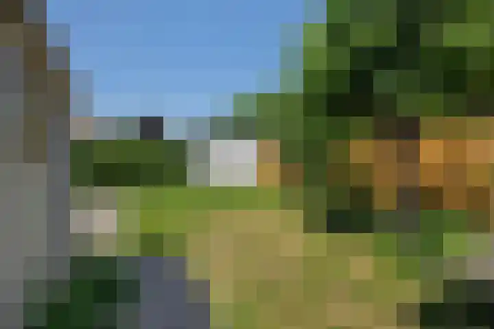 Oeverzwaluw 1 's-Hertogenbosch thumbnail 14