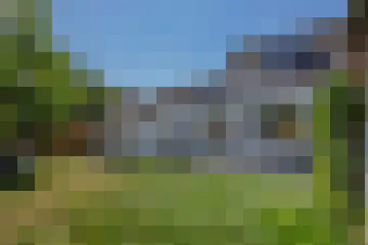 Oeverzwaluw 1 's-Hertogenbosch thumbnail 15