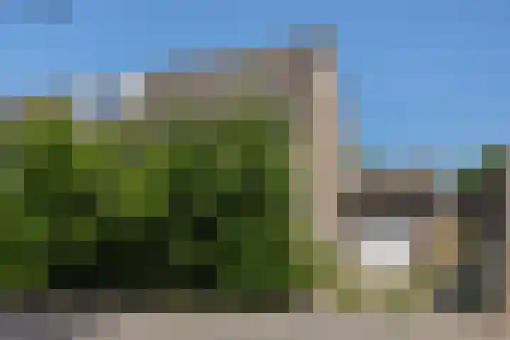 Oeverzwaluw 1 's-Hertogenbosch thumbnail 16