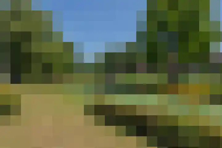 Oeverzwaluw 1 's-Hertogenbosch thumbnail 17