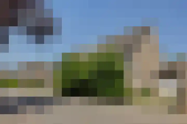Oeverzwaluw 1 's-Hertogenbosch thumbnail 23