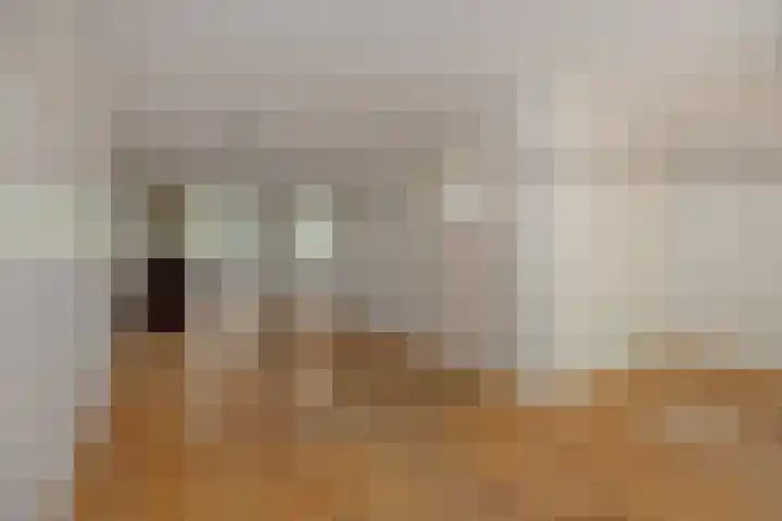 Oeverzwaluw 1 's-Hertogenbosch thumbnail 5