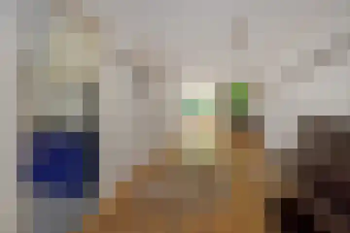 Oeverzwaluw 1 's-Hertogenbosch thumbnail 6