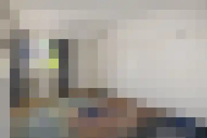Oeverzwaluw 1 's-Hertogenbosch thumbnail 9