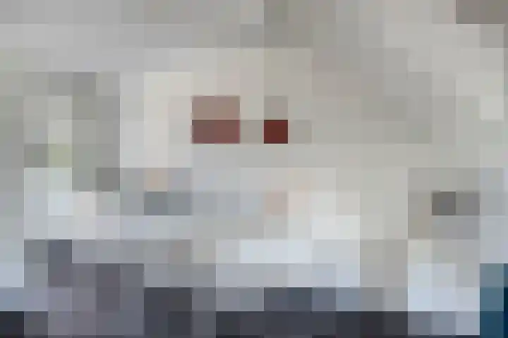 Oeverzwaluw 14 Goirle thumbnail 11