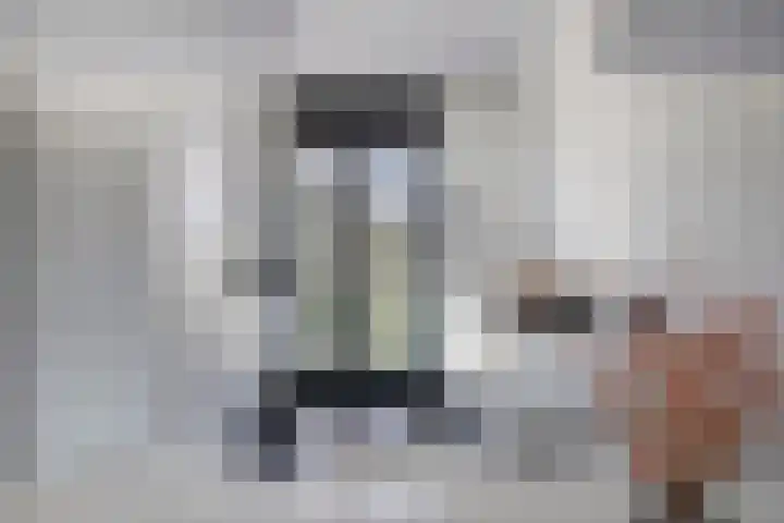 Oeverzwaluw 14 Goirle thumbnail 12