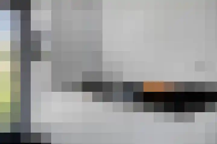 Oeverzwaluw 14 Goirle thumbnail 13