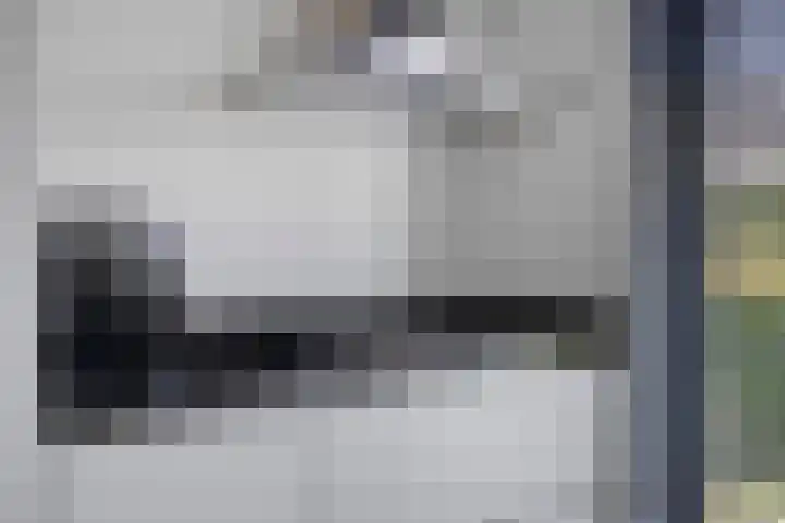 Oeverzwaluw 14 Goirle thumbnail 14