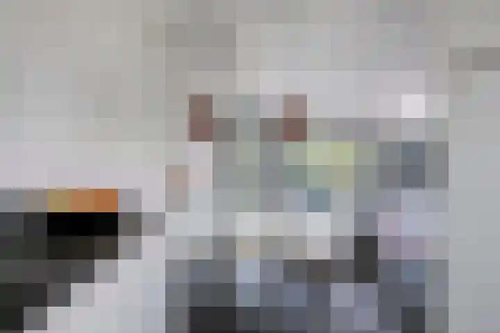 Oeverzwaluw 14 Goirle thumbnail 15