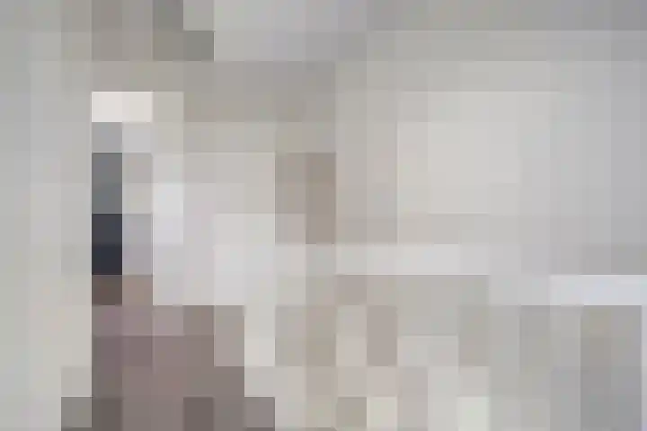Oeverzwaluw 14 Goirle thumbnail 16