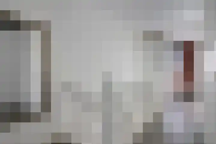 Oeverzwaluw 14 Goirle thumbnail 17