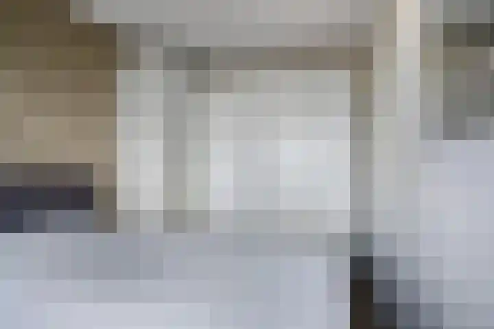 Oeverzwaluw 14 Goirle thumbnail 19