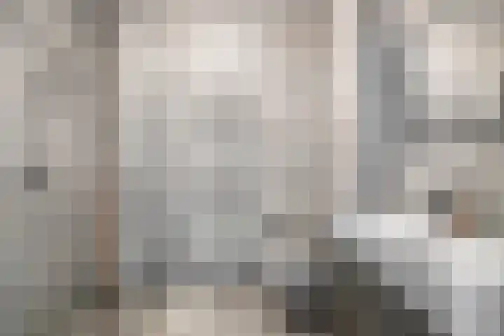 Oeverzwaluw 14 Goirle thumbnail 23