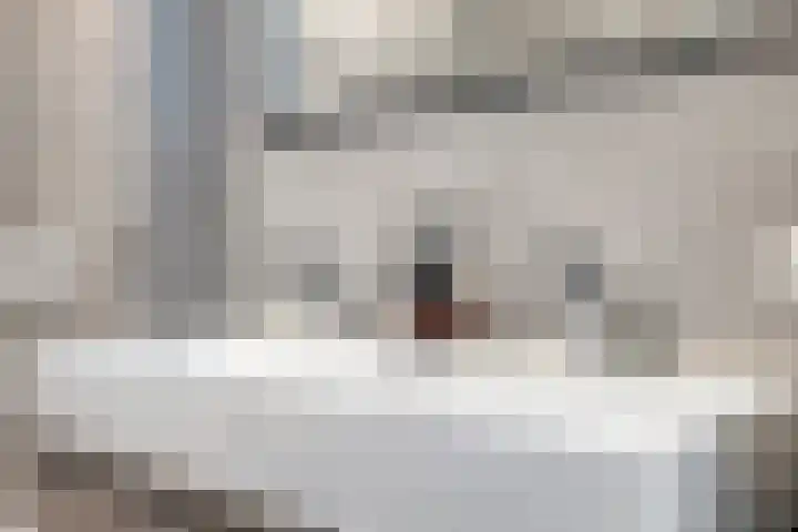 Oeverzwaluw 14 Goirle thumbnail 24
