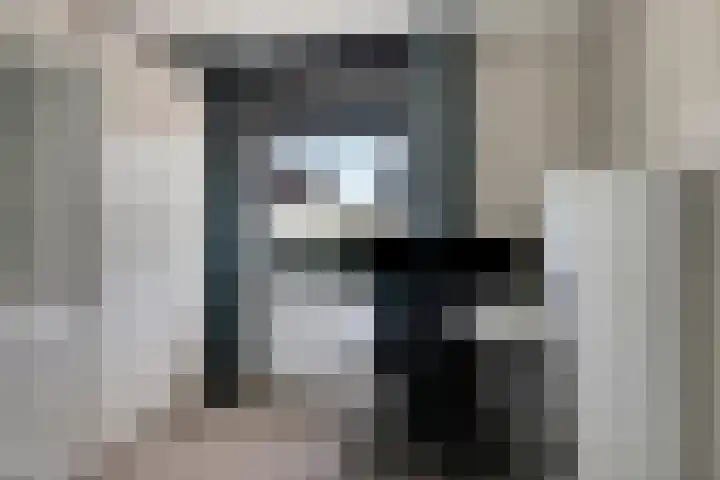 Oeverzwaluw 14 Goirle thumbnail 28