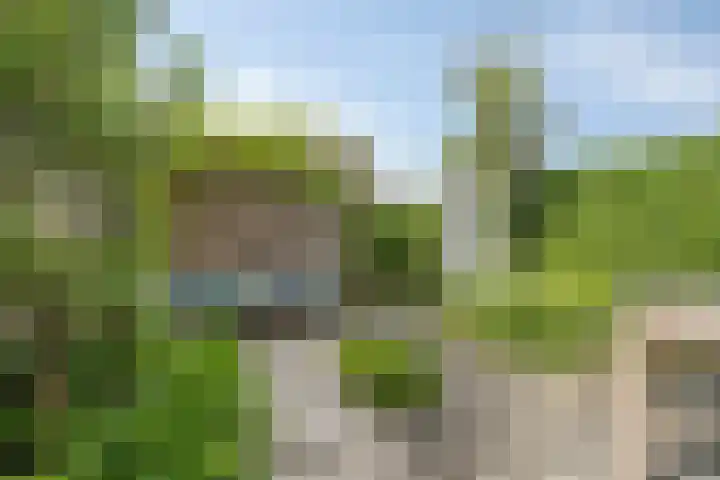 Oeverzwaluw 14 Goirle thumbnail 30