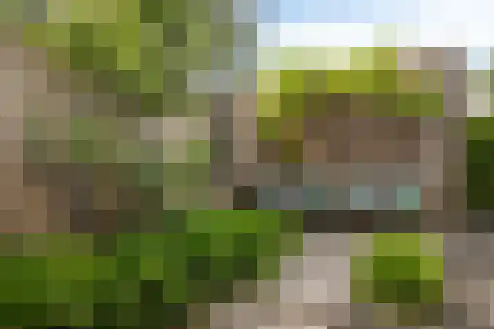 Oeverzwaluw 14 Goirle thumbnail 31