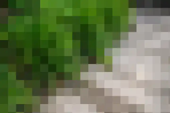 Oeverzwaluw 14 Goirle thumbnail 32