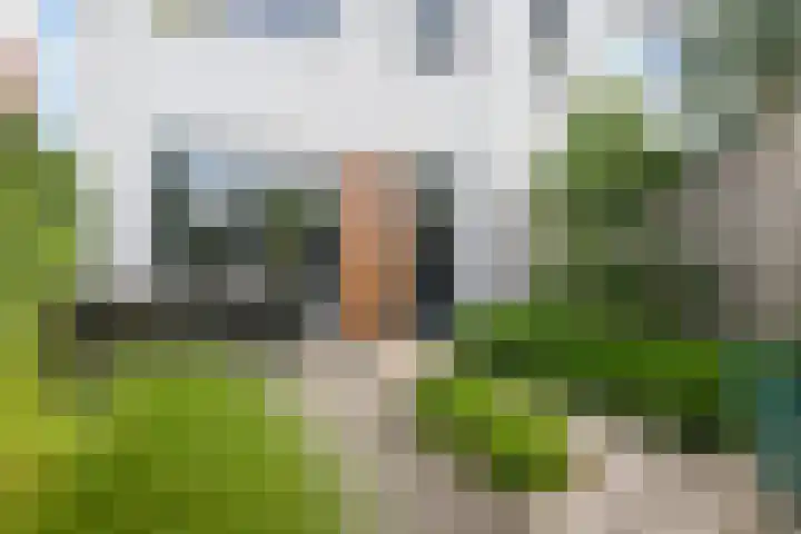 Oeverzwaluw 14 Goirle thumbnail 33