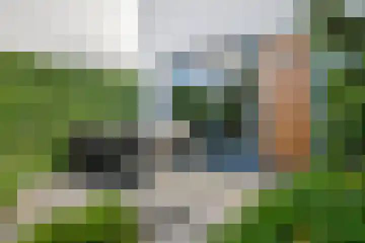 Oeverzwaluw 14 Goirle thumbnail 35