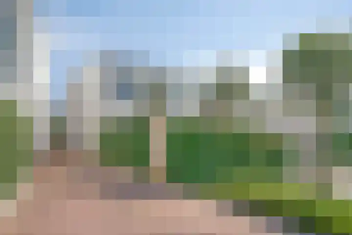 Oeverzwaluw 14 Goirle thumbnail 36