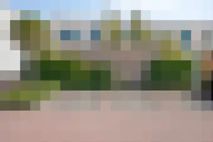 Oeverzwaluw 14 Goirle thumbnail 37