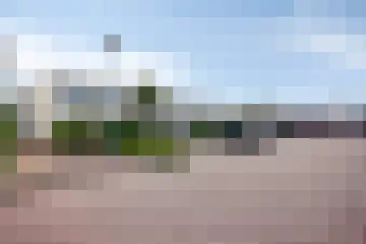Oeverzwaluw 14 Goirle thumbnail 38