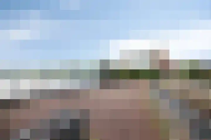 Oeverzwaluw 14 Goirle thumbnail 39