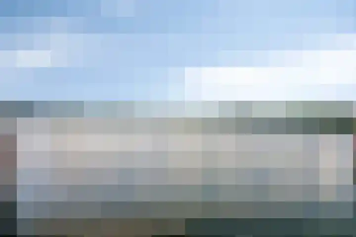 Oeverzwaluw 14 Goirle thumbnail 40
