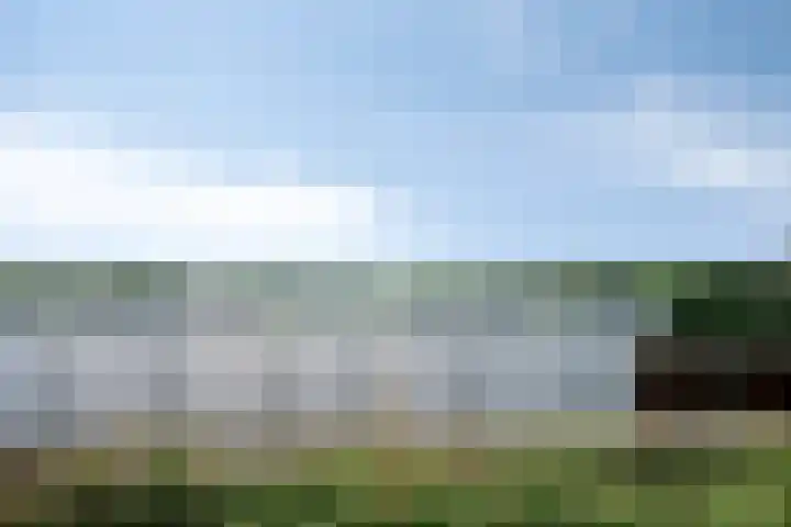 Oeverzwaluw 14 Goirle thumbnail 41