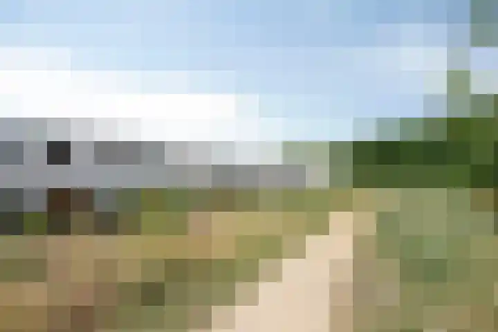 Oeverzwaluw 14 Goirle thumbnail 44