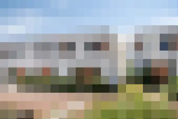 Oeverzwaluw 14 Goirle thumbnail 50