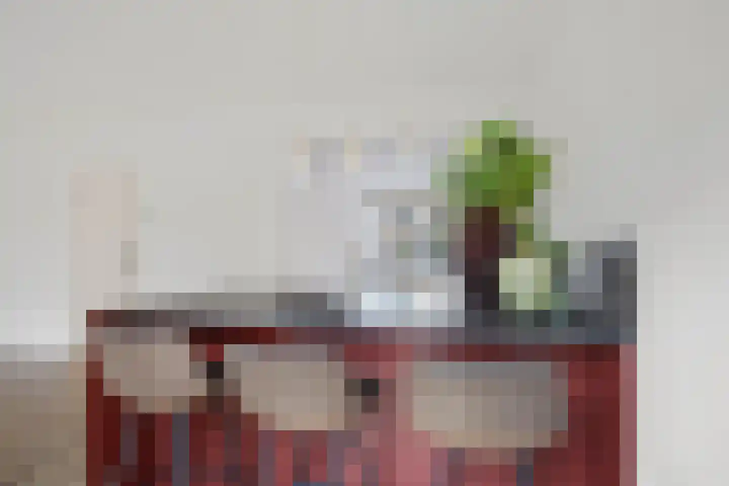 Oeverzwaluw 17 Emmen thumbnail 11