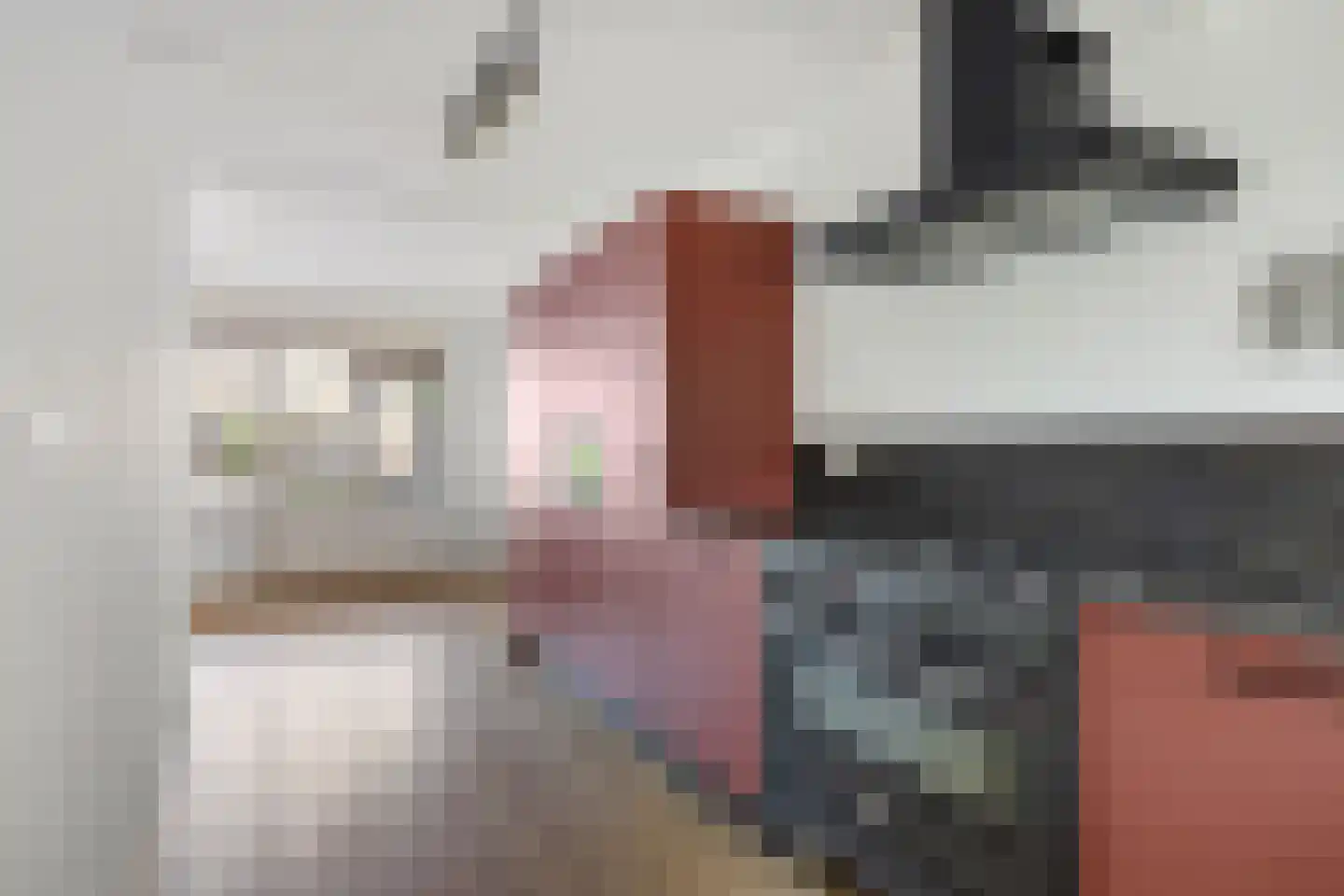 Oeverzwaluw 17 Emmen thumbnail 15