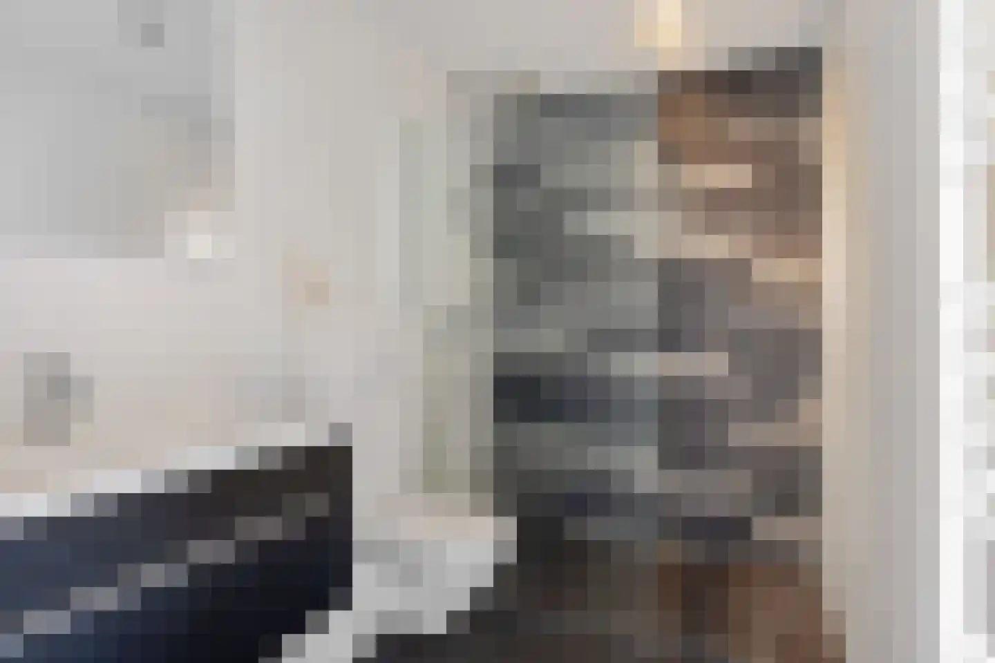 Oeverzwaluw 17 Emmen thumbnail 22