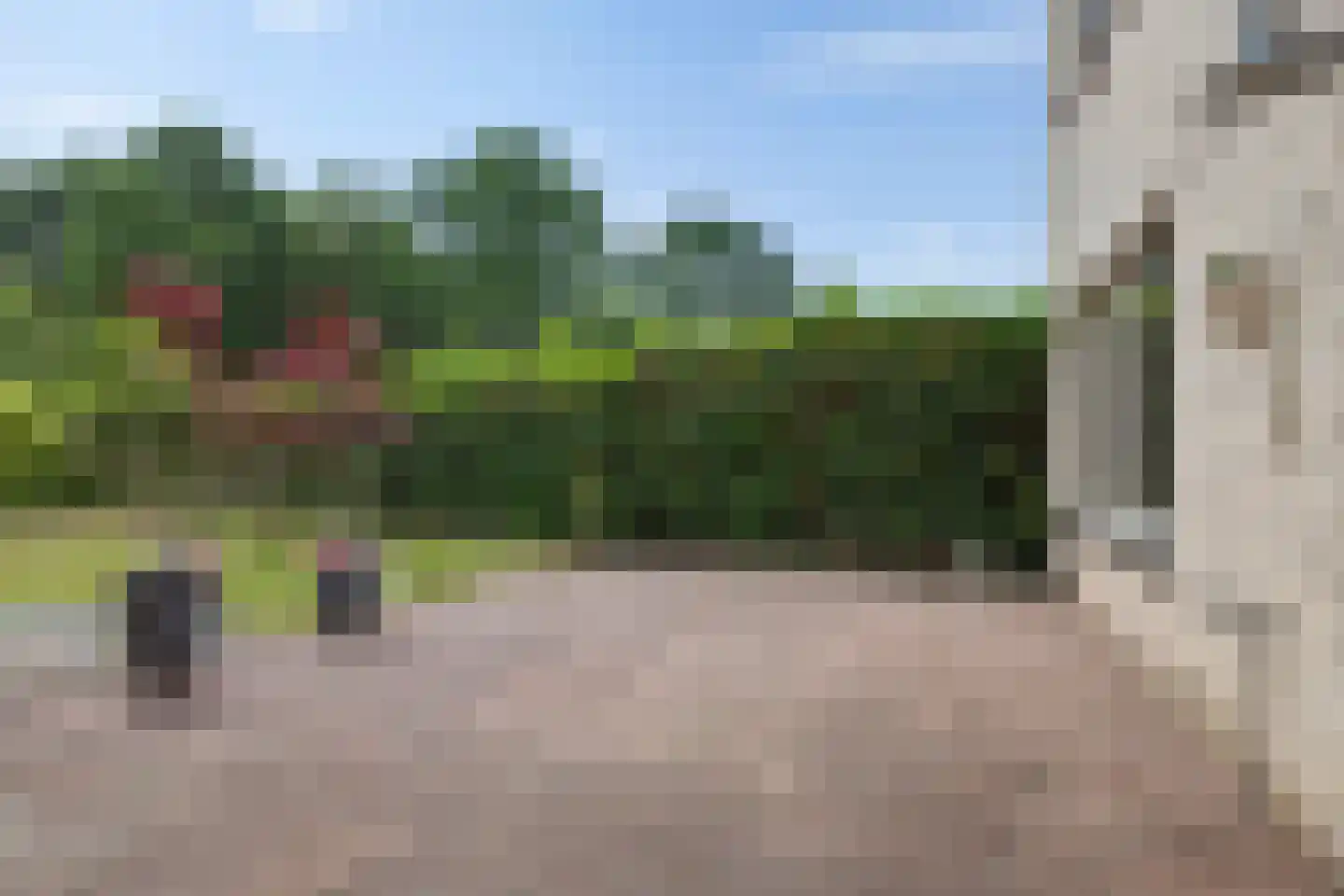 Oeverzwaluw 17 Emmen thumbnail 29