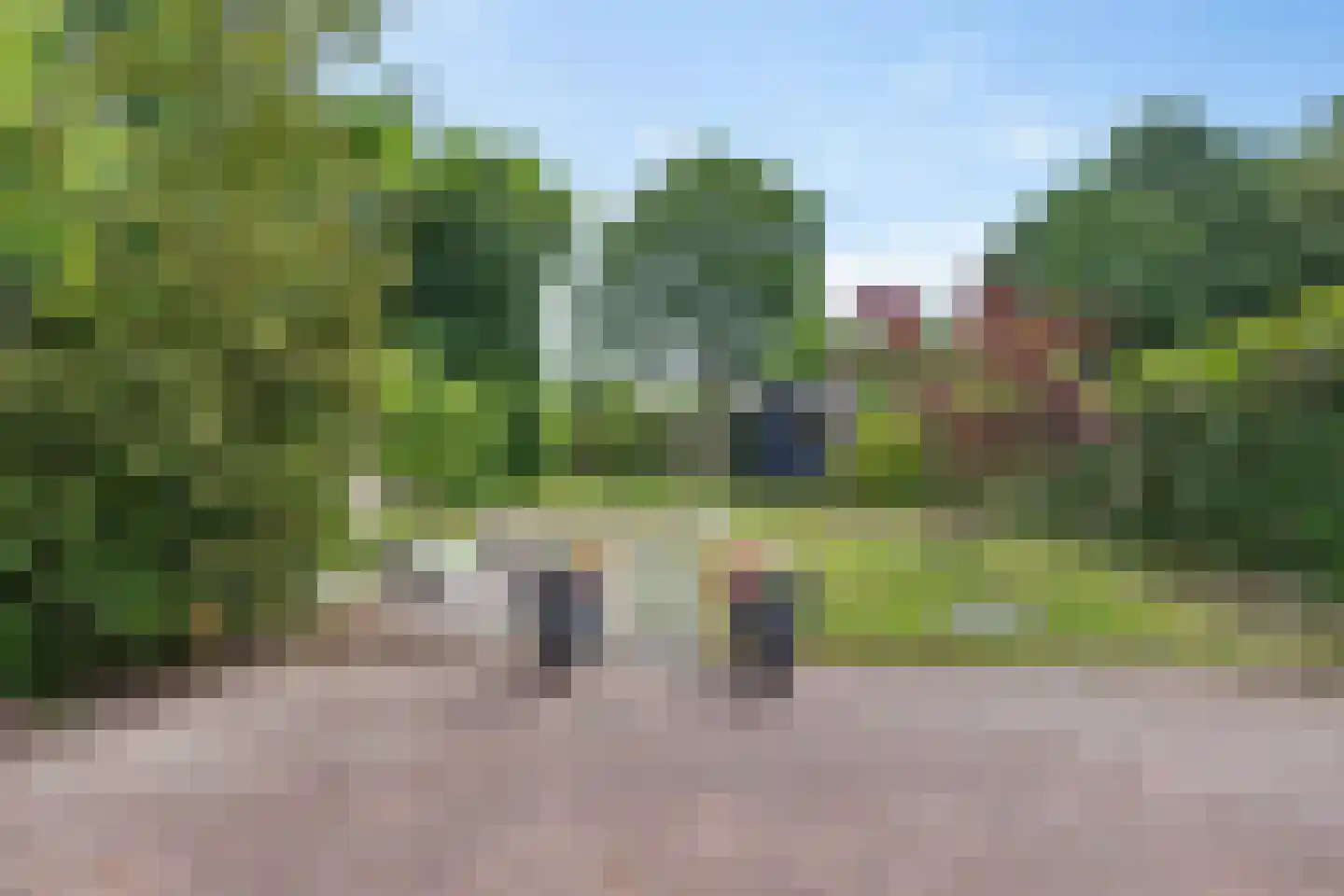 Oeverzwaluw 17 Emmen thumbnail 30