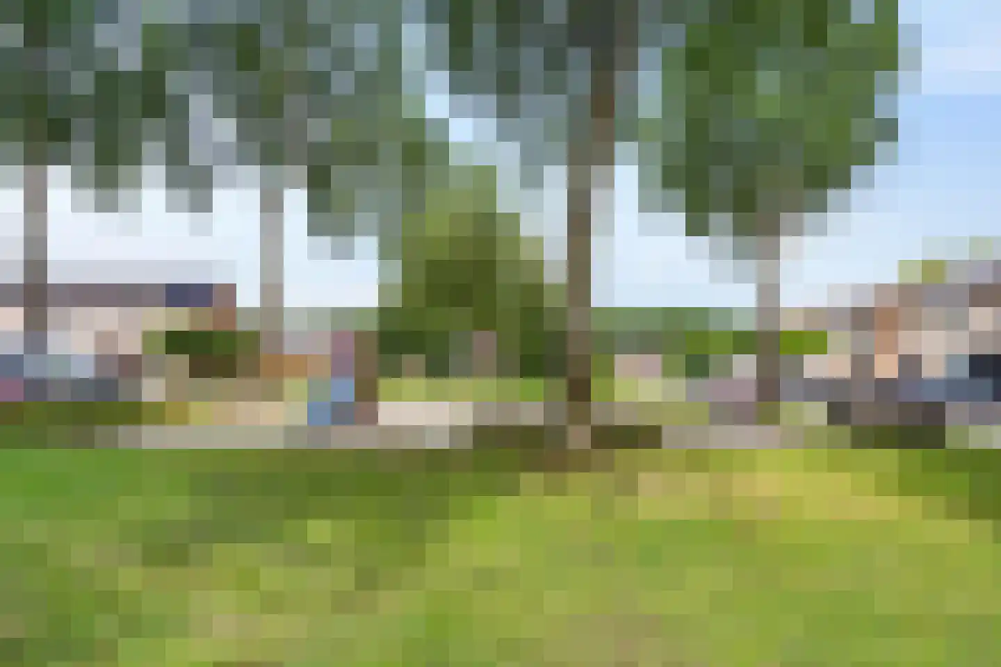 Oeverzwaluw 17 Emmen thumbnail 33